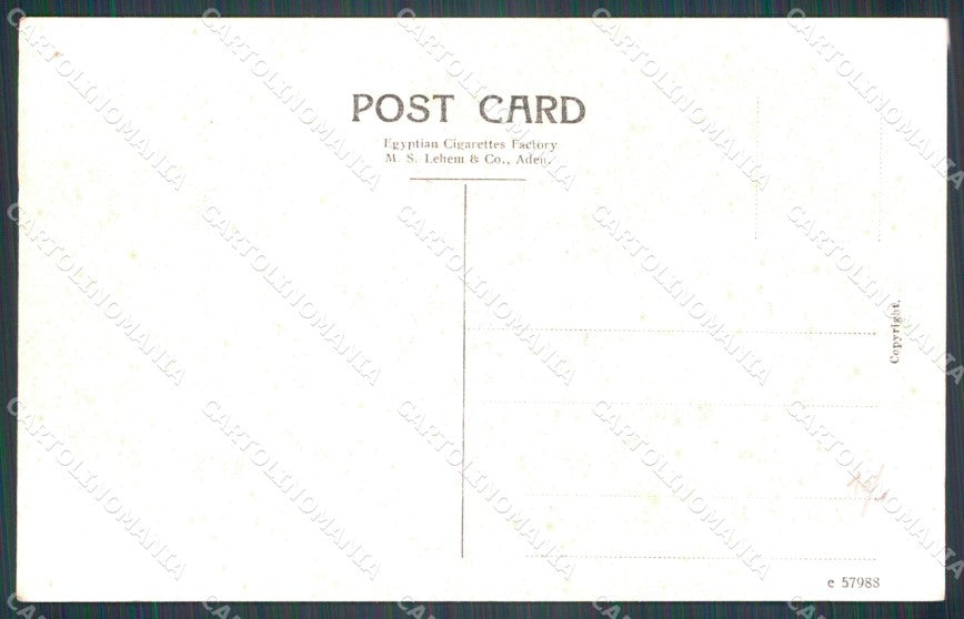 Yemen Aden Native Camel Carts postcard XP3354 – retro