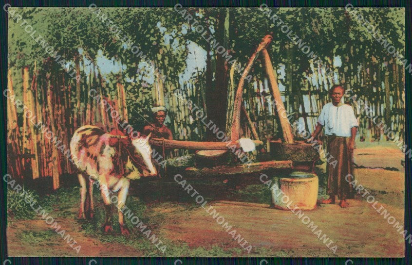 Myanmar Burma Ethnic Types Mission postcard XP3398 – fronte