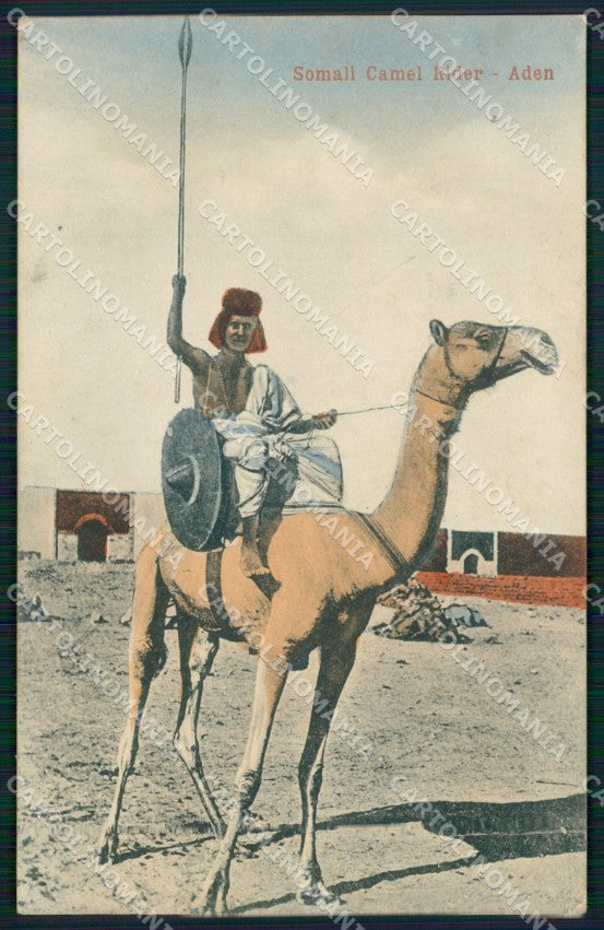 Yemen Aden Somali Camel Rider postcard XP3429 – fronte