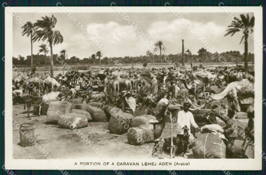 Yemen Aden Caravan Lehej RPPC postcard XP3431 – fronte
