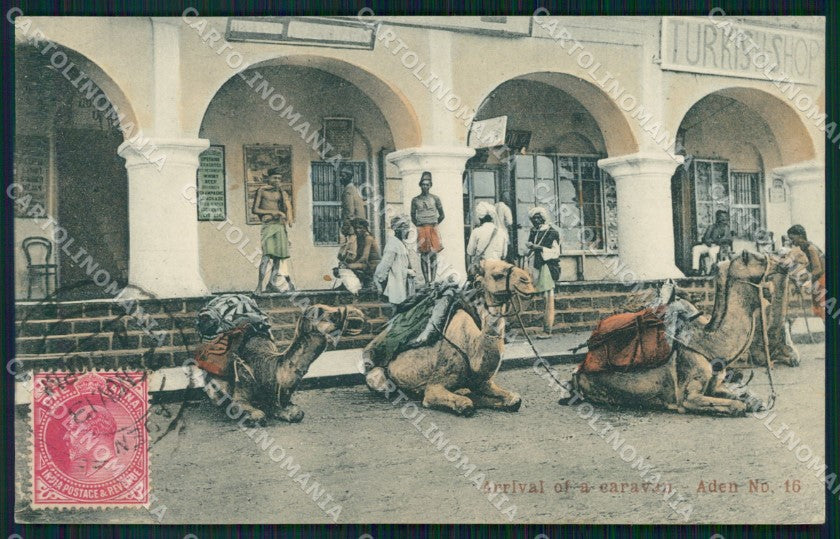 Yemen Aden Arrival of a caravan Turkish Shop postcard XP3434 – fronte
