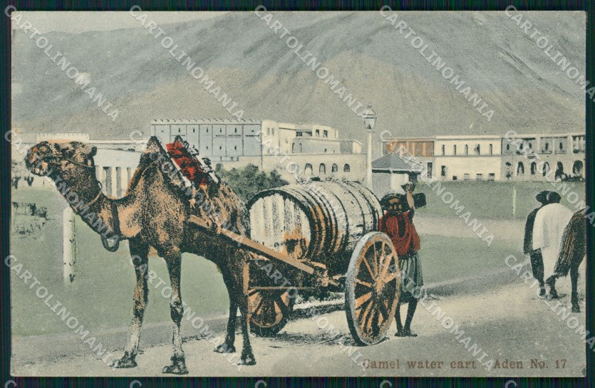 Yemen Aden Water Cart postcard XP3439 – fronte