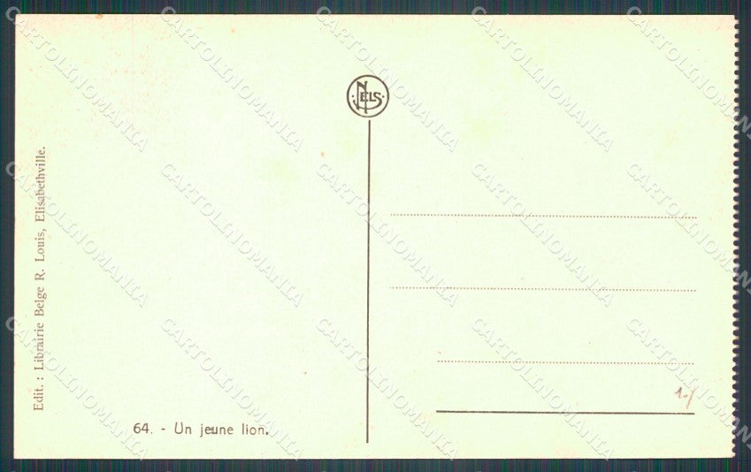 Congo Belge Belgisch Congo Lubumbashi Elisabethville Lion postcard XP3452 – retro