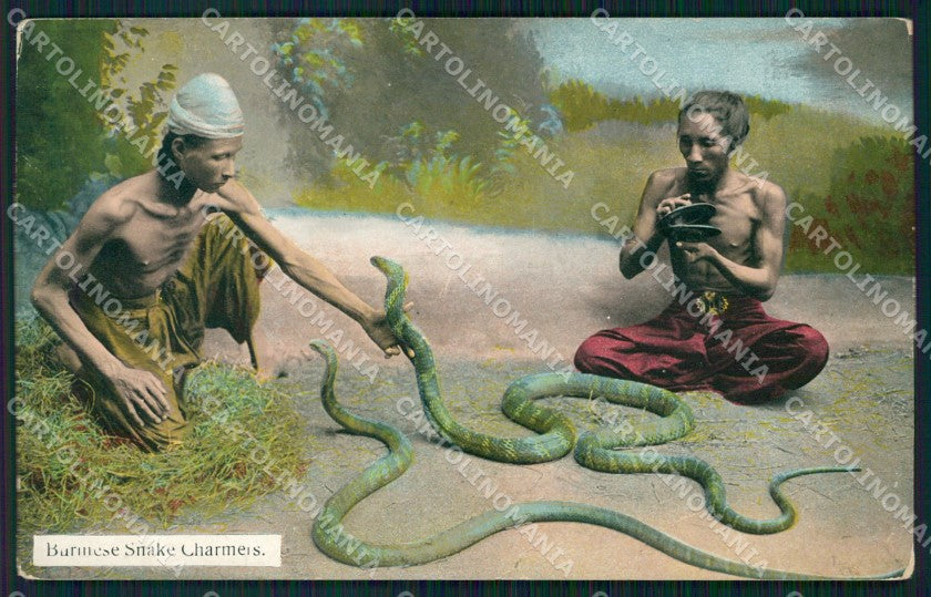 Myanmar Burma Ethnic Types Snake Charmer postcard XP3474 – fronte