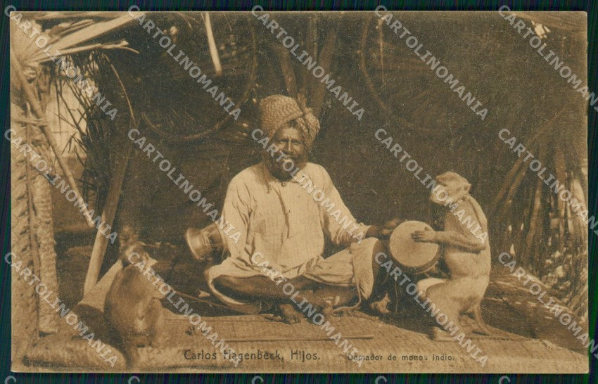 India Ethnic Types Monkey Man postcard XP3478 – fronte