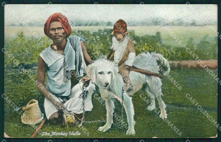 India Bombay Ethnic Types Monkey Man Dog postcard XP3481 – fronte