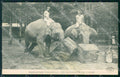 Germany Dresda ? Exposition Coloniale Inde Elephant CREASED postcard XP3504 – fronte