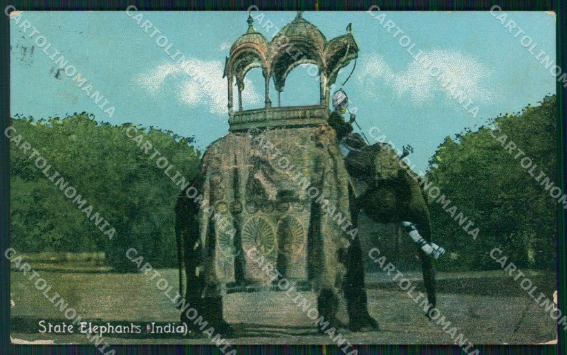 India Elephant postcard XP3506 – fronte