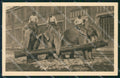 Germany Circus Willy Hagenbeck Elephant postcard XP3509 – fronte