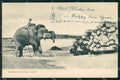 India Elephant Stacking Timber postcard XP3510 – fronte