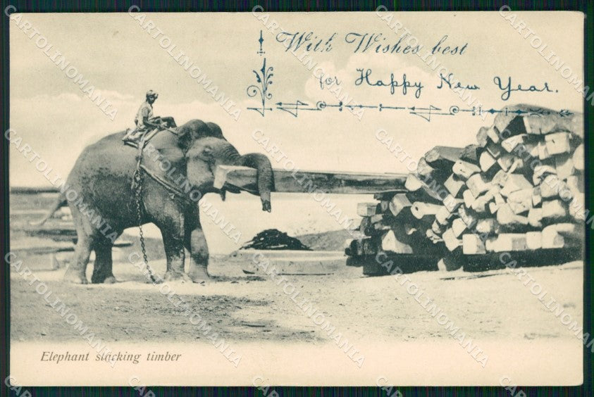 India Elephant Stacking Timber postcard XP3510 – fronte
