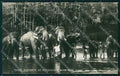 Sri Lanka Ceylon Ethnic Types Elephant RPPC postcard XP3515 – fronte