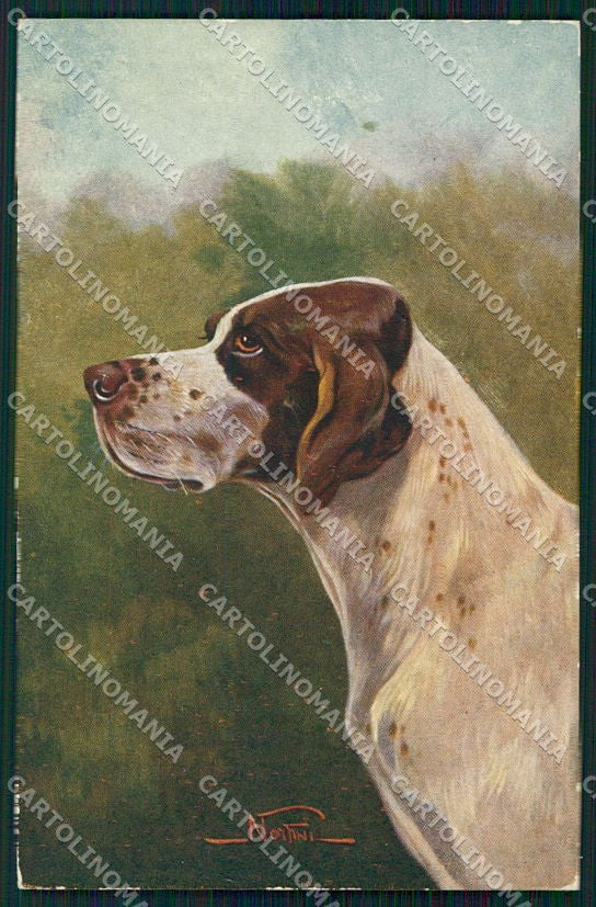 Artist Signed Norfini Pointer Dog Hunting serie 2025 cartolina XP7801 – fronte