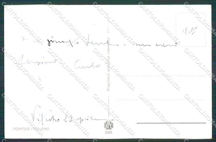 Artist Signed Norfini Pointer Dog Hunting serie 2025 cartolina XP7801 – retro