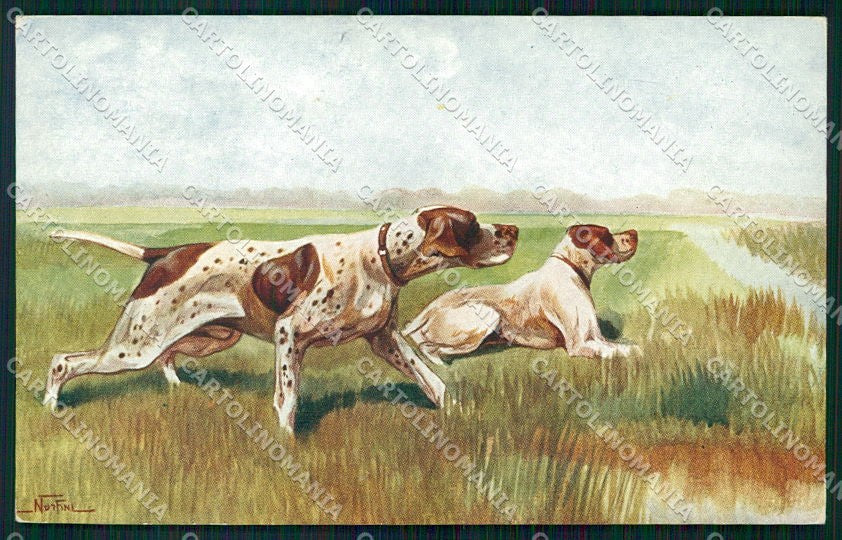 Artist Signed Norfini Pointer Dog Hunting serie 1869 cartolina XP7804 – fronte