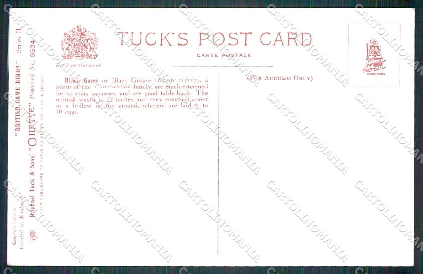 Artist Signed Drummond British Game Birds Oilette 9524 cartolina XP7807 – retro