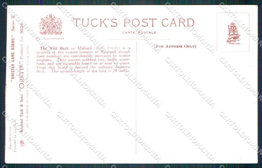 Artist Signed Drummond British Game Birds Oilette 9524 cartolina XP7810 – retro
