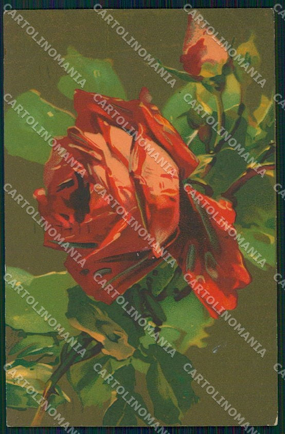 Artist Signed Flowers Roses Velvet cartolina XP8918 – fronte