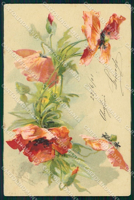 Artist Signed Catharina Klein Flowers cartolina XP8933 – fronte