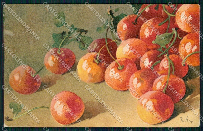 Artist Signed Catharina Klein Fruit PIEGHINA cartolina XP8934 – fronte