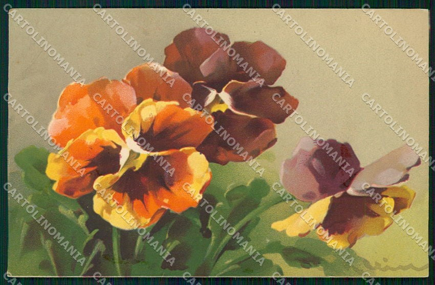 Artist Signed Catharina Klein Flowers Meissner Buch serie 2051 cartolina XP8952 – fronte