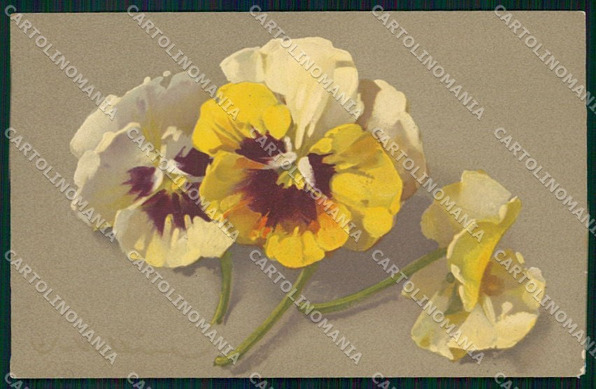 Artist Signed Catharina Klein Flowers Meissner Buch serie 1883 cartolina XP8957 – fronte