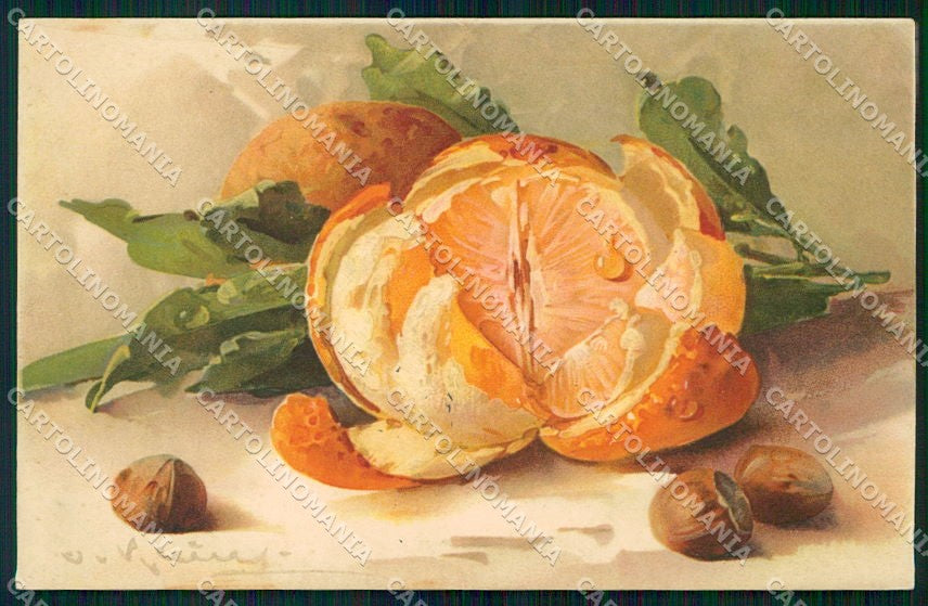 Artist Signed Catharina Klein Fruit Dondorf serie 311 cartolina XP8966 – fronte