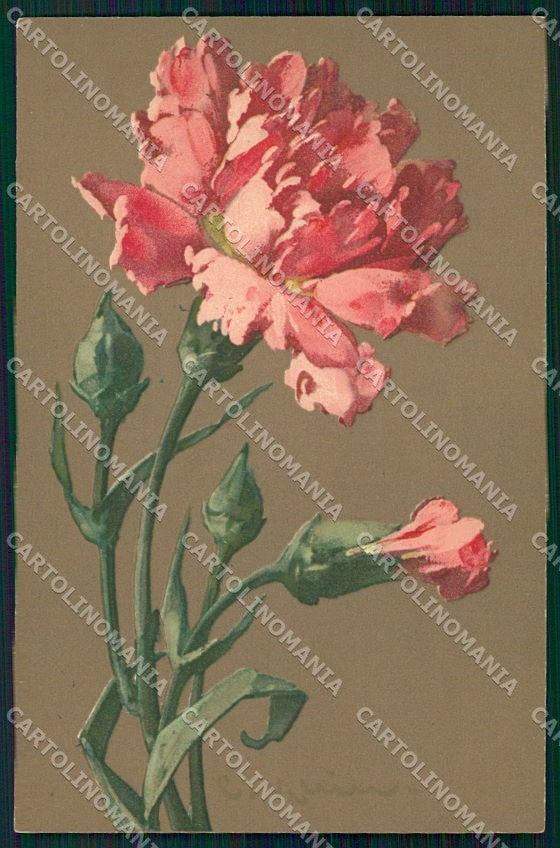 Artist Signed Catharina Klein Flowers Meissner Buch serie 1835 cartolina XP8984 – fronte