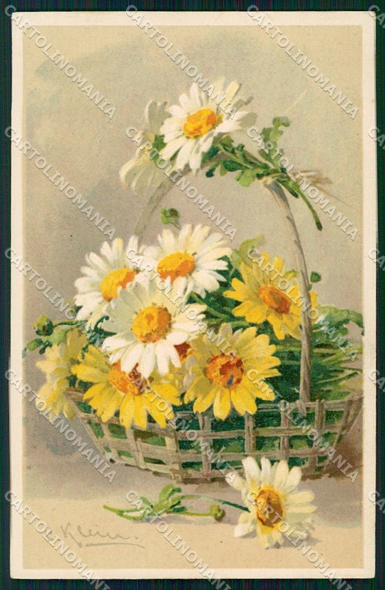 Artist Signed Catharina Klein Flowers cartolina XP8995 – fronte
