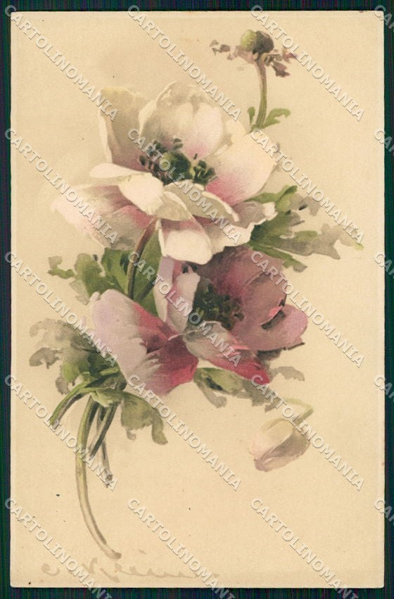 Artist Signed Catharina Klein Flowers Meissner Buch serie 1748 cartolina XP8999 – fronte