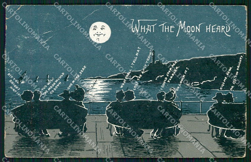 Artist Signed Paper Moon What the Moon heard PIEGHE cartolina XP9069 – fronte
