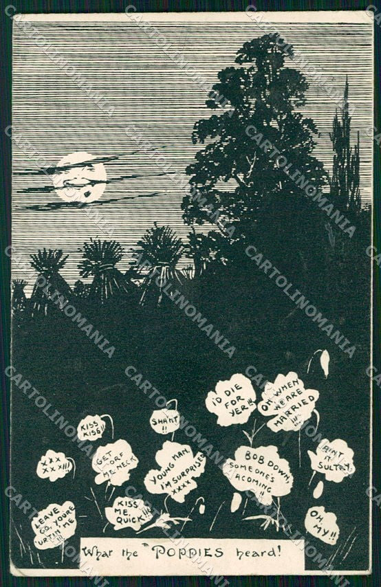 Artist Signed Paper Moon What the Poppies Heard PIEGHINE cartolina XP9070 – fronte