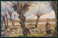 Artist Signed Collino Landscape and Lady cartolina XP9469 – fronte