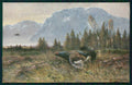 Artist Signed August Muller Hunt Tetraonidi serie 844 cartolina XP9630 – fronte
