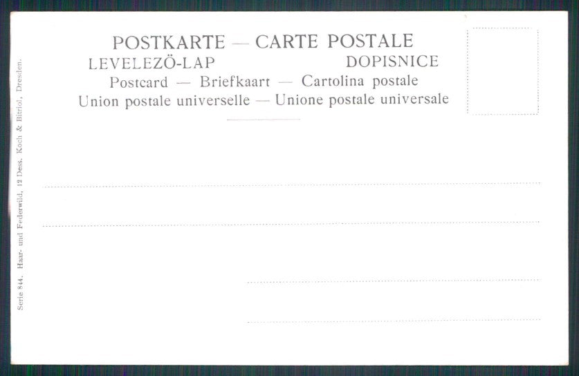 Artist Signed August Muller Hunt Tetraonidi serie 844 cartolina XP9630 – retro