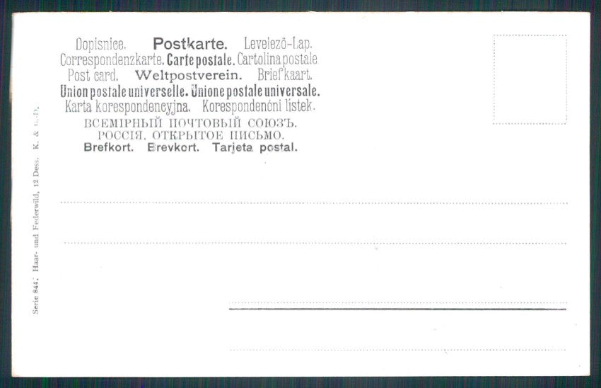 Artist Signed August Muller Hunt Tetraonidi serie 844 cartolina XP9631 – retro