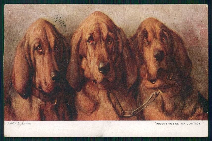 Artist Signed P. E. Stretton Hunting Dogs serie 666 cartolina XP9635 – fronte
