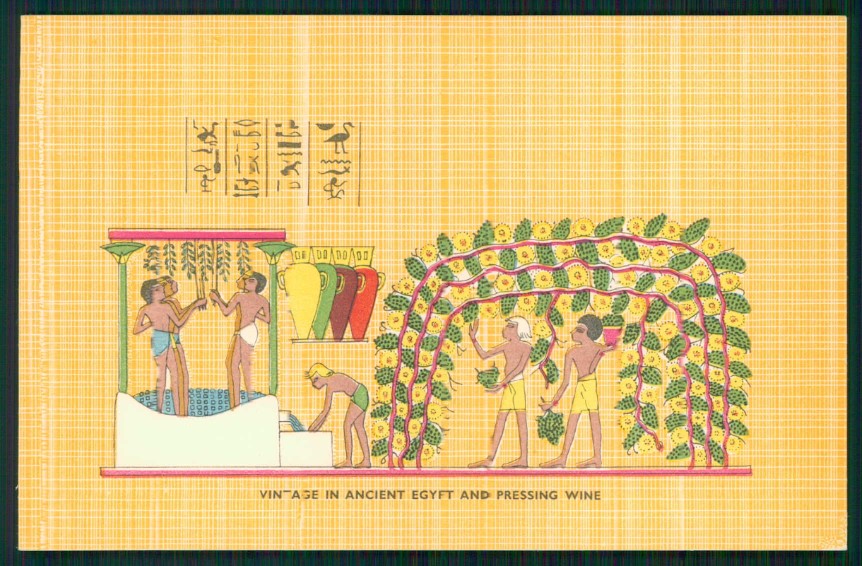Artist Signed Egypt Pressing Wine Vendemmia cartolina XP9640 – fronte