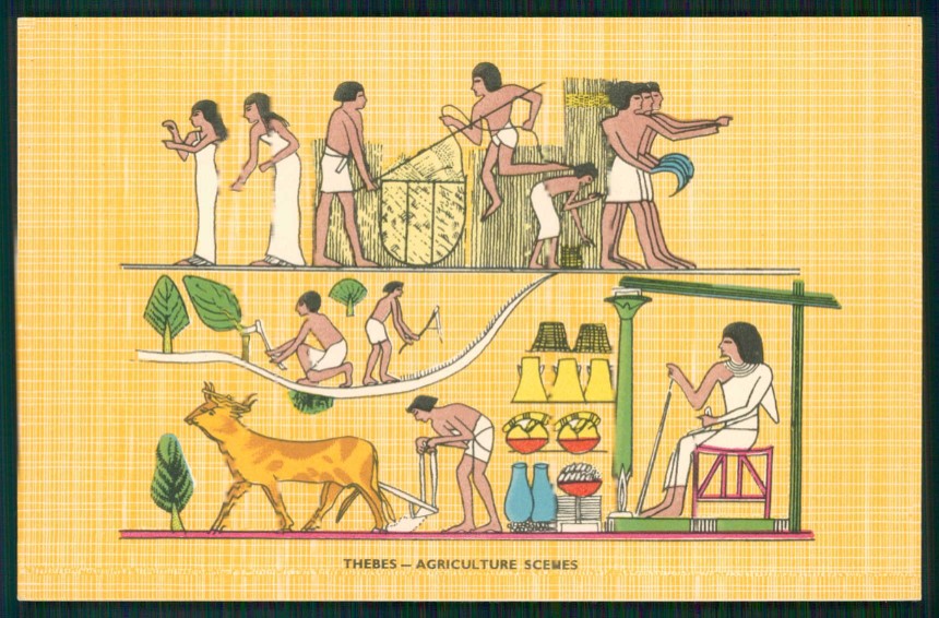 Artist Signed Egypt Thebes cartolina XP9641 – fronte