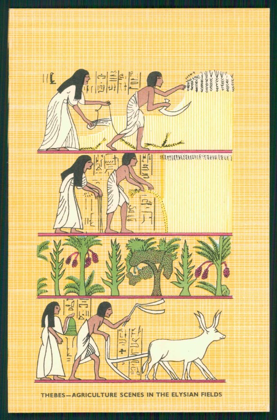 Artist Signed Egypt Elysian Fields cartolina XP9649 – fronte