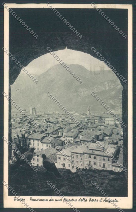 Trento Città cartolina ZB0282 – fronte