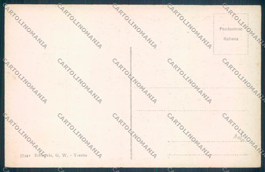Trento Città cartolina ZB0403 – retro