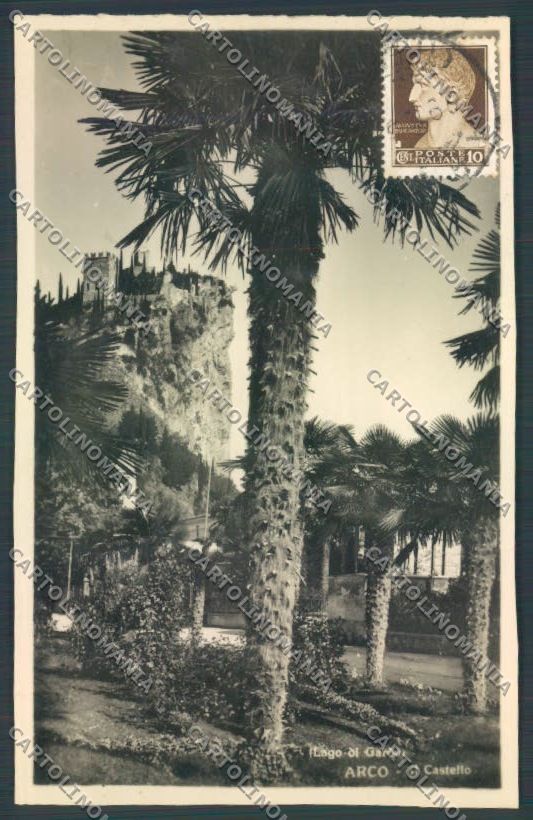 Trento Arco Foto cartolina ZB0659 – fronte