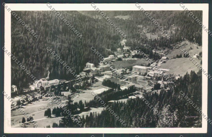 Trento Pinzolo Madonna di Campiglio Foto cartolina ZB0723 – fronte