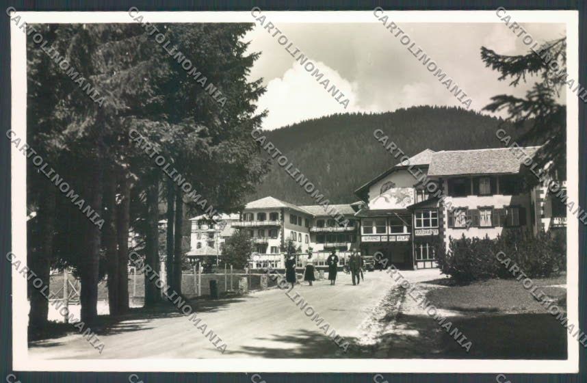 Trento Pinzolo Madonna di Campiglio Foto cartolina ZB0755 – fronte