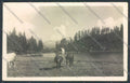 Trento Pinzolo Madonna di Campiglio Lago Malghette Foto cartolina ZB0767 – fronte