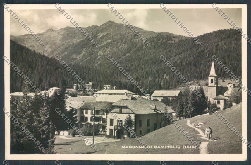 Trento Pinzolo Madonna di Campiglio Foto cartolina ZB0778 – fronte