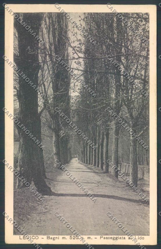 Trento Levico Terme cartolina ZB0798 – fronte