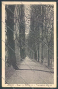 Trento Levico Terme cartolina ZB0798 – fronte