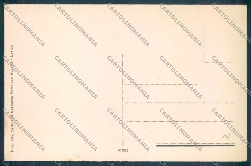 Trento Levico Terme cartolina ZB0817 – retro